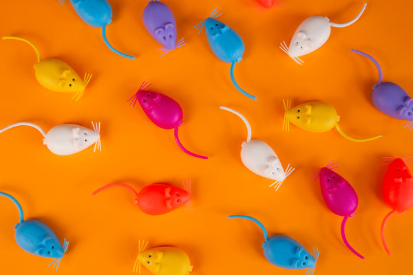 Ratones de plástico de colores